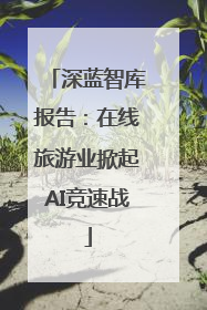 深蓝智库报告：在线旅游业掀起AI竞速战