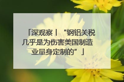 深观察丨“钢铝关税几乎是为伤害美国制造业量身定制的”