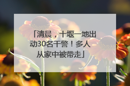 清晨，十堰一地出动30名干警！多人从家中被带走