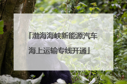 渤海海峡新能源汽车海上运输专线开通