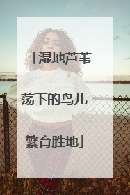 湿地芦苇荡下的鸟儿繁育胜地