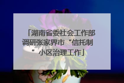 湖南省委社会工作部调研张家界市“信托制”小区治理工作