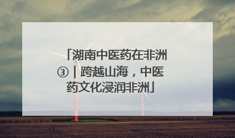 湖南中医药在非洲③｜跨越山海，中医药文化浸润非洲