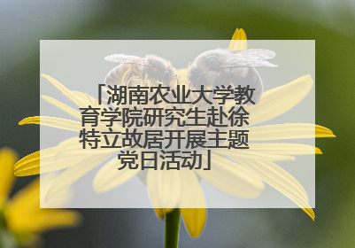 湖南农业大学教育学院研究生赴徐特立故居开展主题党日活动