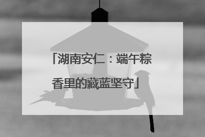 湖南安仁：端午粽香里的藏蓝坚守