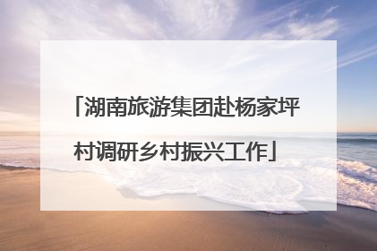 湖南旅游集团赴杨家坪村调研乡村振兴工作