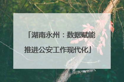 湖南永州：数据赋能推进公安工作现代化