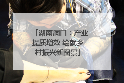 湖南洞口：产业提质增效 绘就乡村振兴新图景