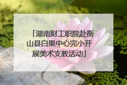 湖南财工职院赴衡山县白果中心完小开展美术支教活动