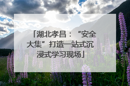 湖北孝昌：“安全大集”打造一站式沉浸式学习现场