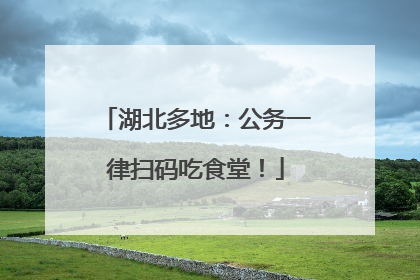 湖北多地：公务一律扫码吃食堂！