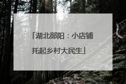 湖北郧阳：小店铺托起乡村大民生
