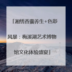 湘绣香囊养生+色彩风暴：梅溪湖艺术博物馆文化体验盛宴