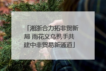 湘浙合力拓非贸新局 雨花义乌携手共建中非贸易新通道