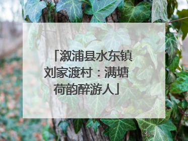 溆浦县水东镇刘家渡村：满塘荷韵醉游人