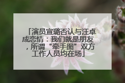 演员宣璐否认与汪卓成恋情：我们就是朋友，所谓“牵手图”双方工作人员均在场