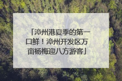 漳州港夏季的第一口鲜！漳州开发区万亩杨梅迎八方游客
