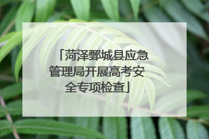 菏泽鄄城县应急管理局开展高考安全专项检查