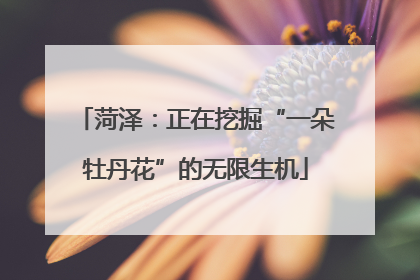 菏泽：正在挖掘“一朵牡丹花”的无限生机