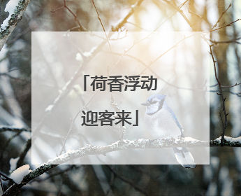 荷香浮动迎客来