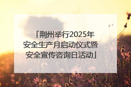 荆州举行2025年安全生产月启动仪式暨安全宣传咨询日活动