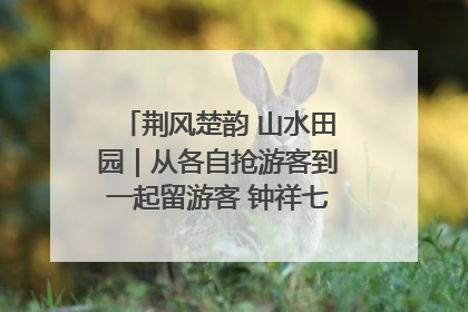 荆风楚韵 山水田园｜从各自抢游客到一起留游客 钟祥七村抱团解了“乡愁”添了“乡酬”