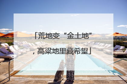荒地变“金土地”，高粱地里藏希望