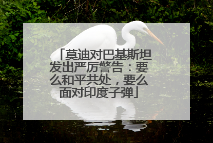 莫迪对巴基斯坦发出严厉警告：要么和平共处，要么面对印度子弹