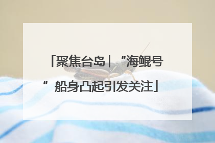 聚焦台岛│“海鲲号”船身凸起引发关注