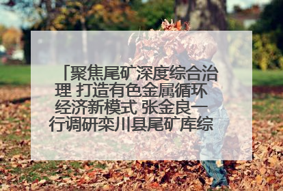 聚焦尾矿深度综合治理 打造有色金属循环经济新模式 张金良一行调研栾川县尾矿库综合治理工作