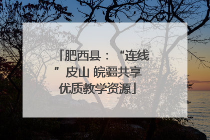 肥西县：“连线”皮山 皖疆共享优质教学资源