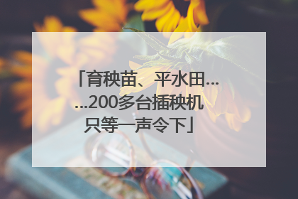 育秧苗、平水田……200多台插秧机只等一声令下