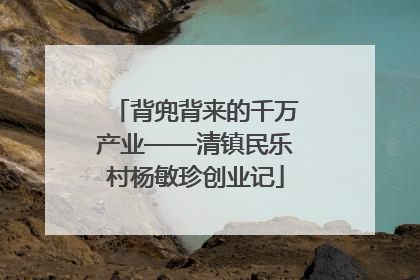 背兜背来的千万产业——清镇民乐村杨敏珍创业记