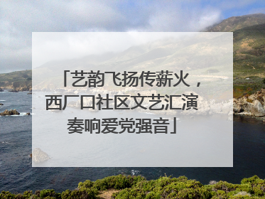 艺韵飞扬传薪火，西厂口社区文艺汇演奏响爱党强音