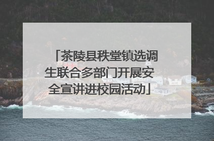 茶陵县秩堂镇选调生联合多部门开展安全宣讲进校园活动