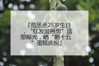 范丞丞25岁生日，“红发漫画男”造型曝光，晒“鹅十五”蛋糕庆祝