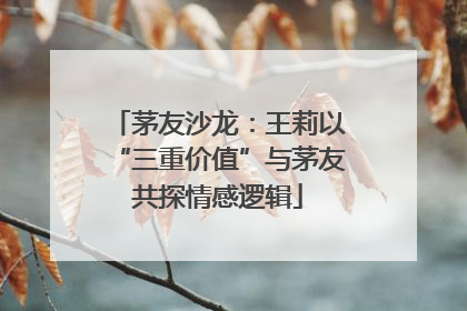 茅友沙龙：王莉以“三重价值”与茅友共探情感逻辑