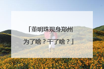 董明珠现身郑州 为了啥？干了啥？