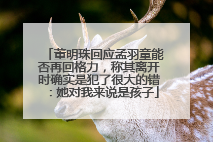 董明珠回应孟羽童能否再回格力，称其离开时确实是犯了很大的错：她对我来说是孩子