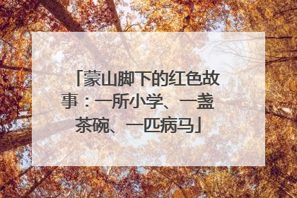 蒙山脚下的红色故事：一所小学、一盏茶碗、一匹病马