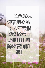 蓝色光标递表港交所：去年亏损近3亿元，要抓住出海跨境营销机遇