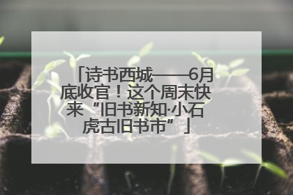 诗书西城——6月底收官！这个周末快来“旧书新知·小石虎古旧书市”
