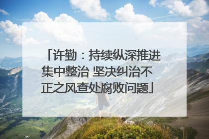 许勤：持续纵深推进集中整治 坚决纠治不正之风查处腐败问题