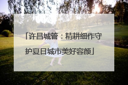 许昌城管：精耕细作守护夏日城市美好容颜