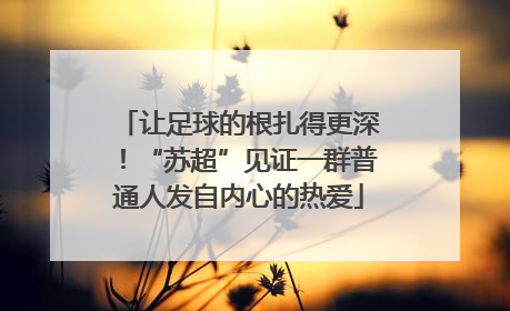让足球的根扎得更深！“苏超”见证一群普通人发自内心的热爱