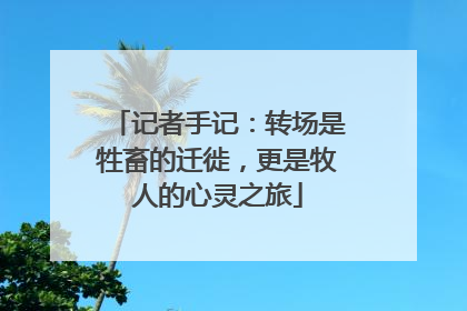 记者手记：转场是牲畜的迁徙，更是牧人的心灵之旅