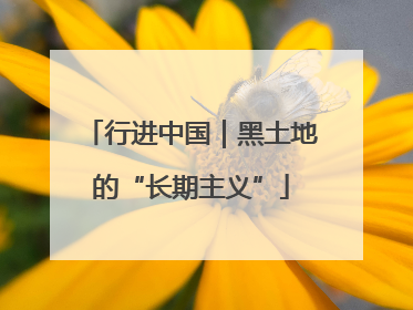 行进中国｜黑土地的“长期主义”