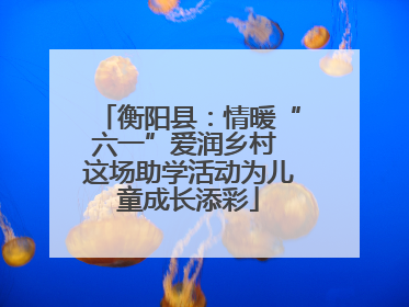衡阳县：情暖“六一”爱润乡村 这场助学活动为儿童成长添彩