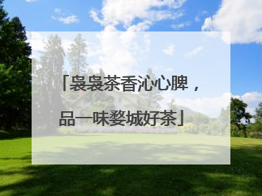 袅袅茶香沁心脾，品一味婺城好茶