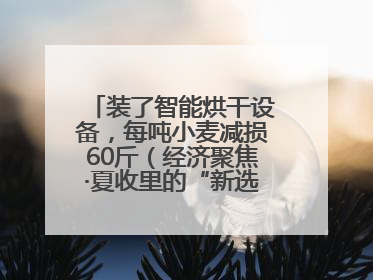 装了智能烘干设备，每吨小麦减损60斤（经济聚焦·夏收里的“新选手”）